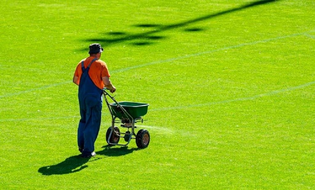 The Best Lawn Fertilizers A Buyers Guide [2023] Earth Development